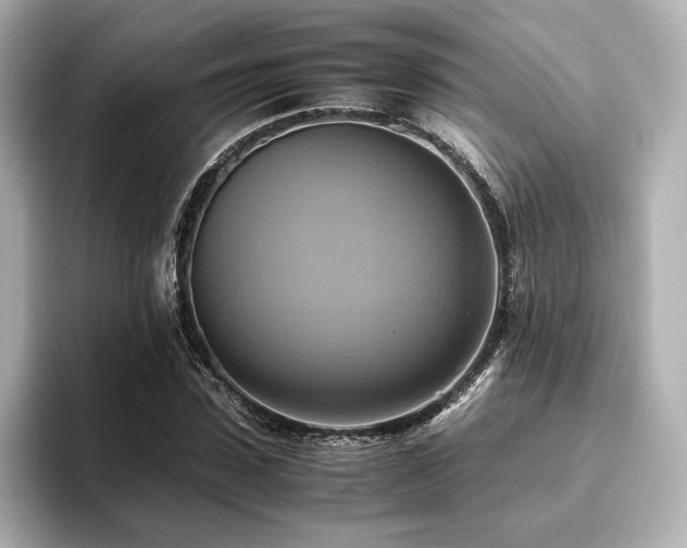 X0000093610923200710151236