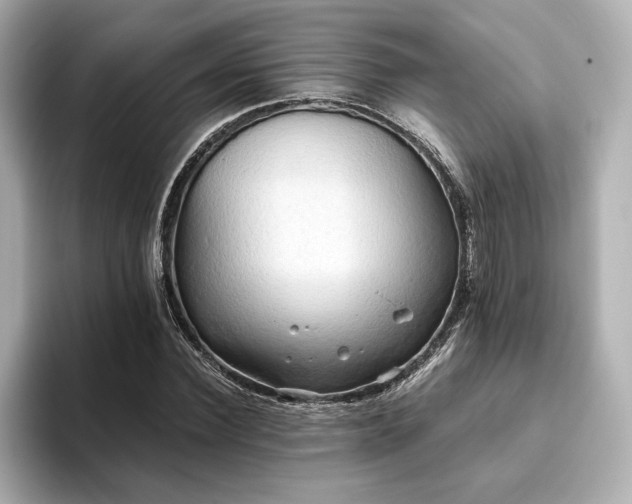 X0000093610924200710151236