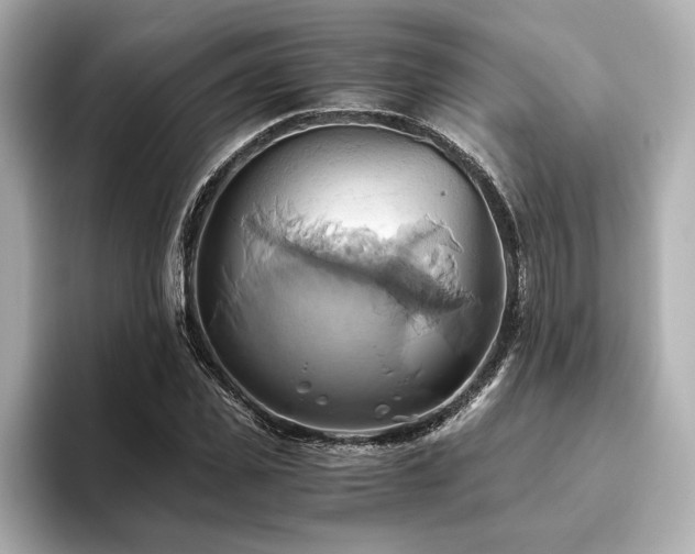 X0000093610925200710151236