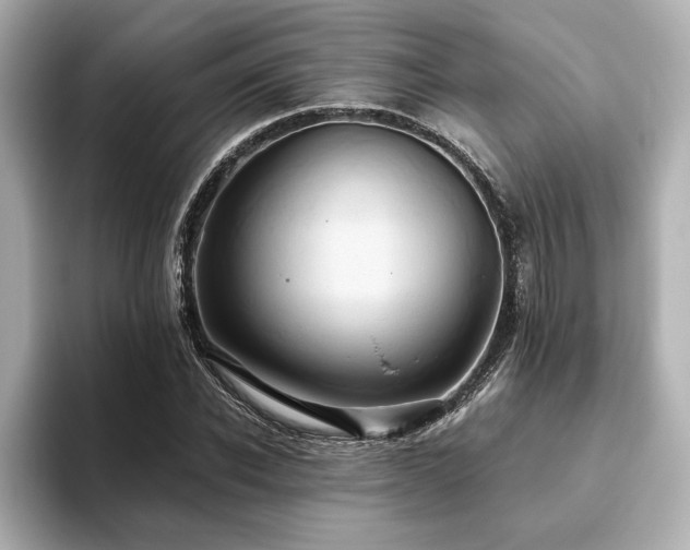 X0000093610926200710151236