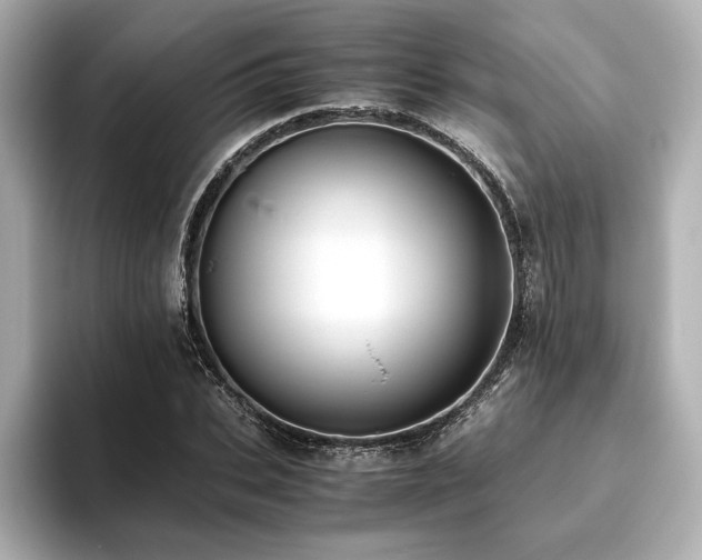X0000093610927200710151236