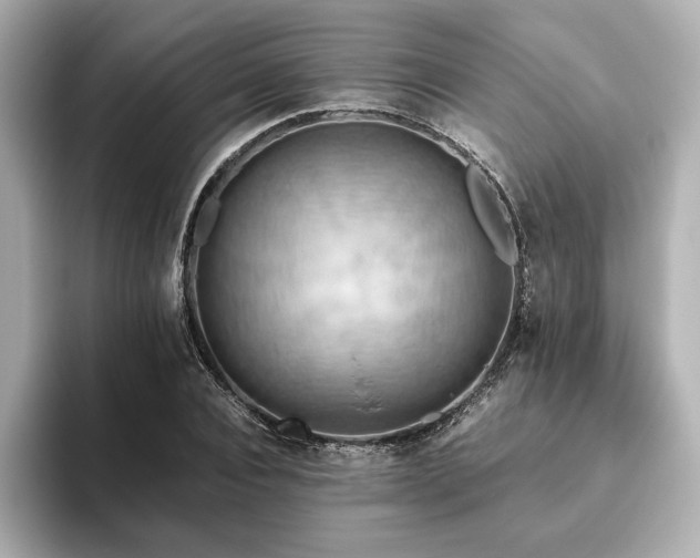X0000093610928200710151236