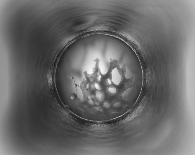 X0000093610929200710151236