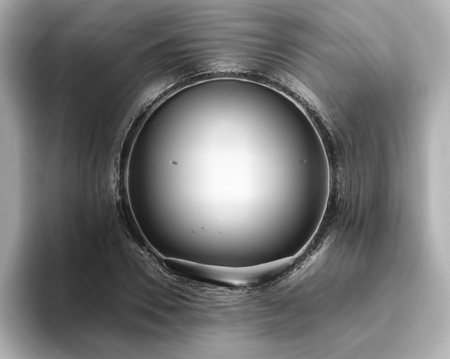 X0000093610930200710151236