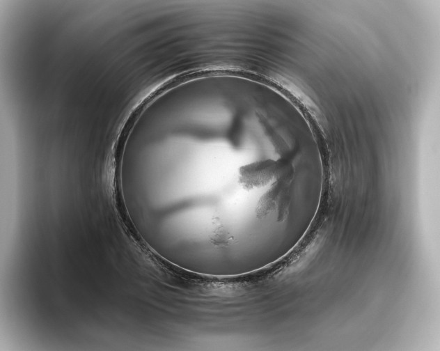 X0000093610933200710151236