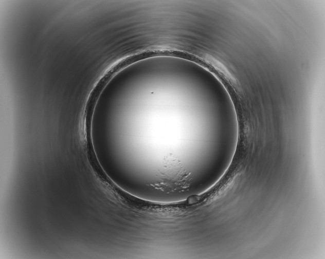 X0000093610934200710151236