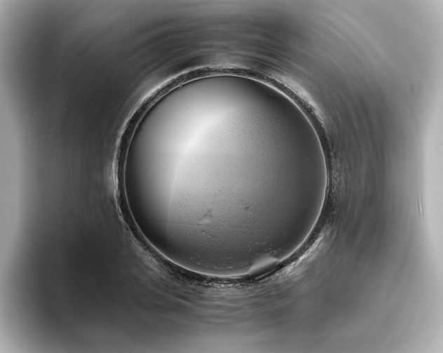 X0000093610935200710151236