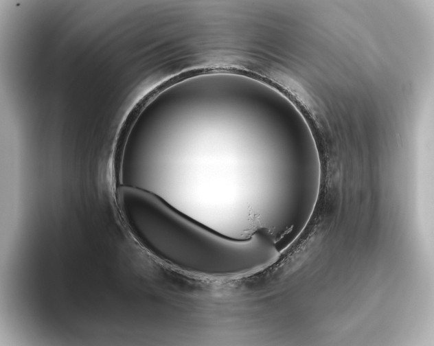X0000093610936200710151236