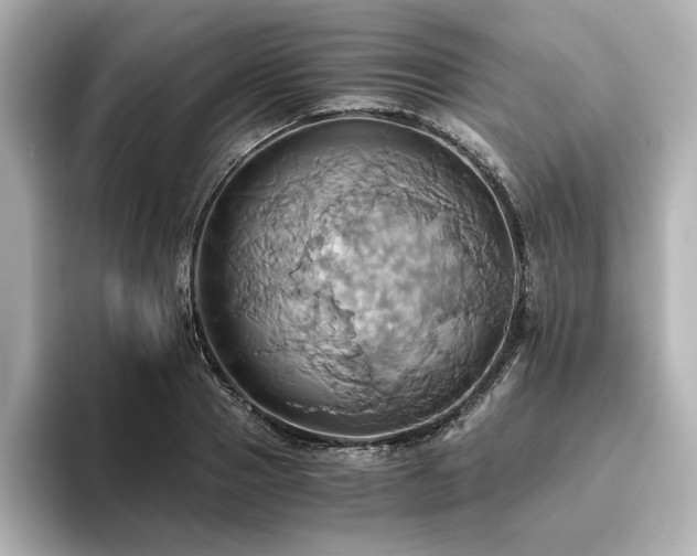 X0000093610937200710151236