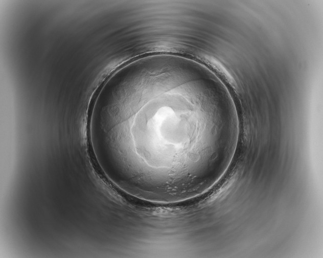 X0000093610938200710151236