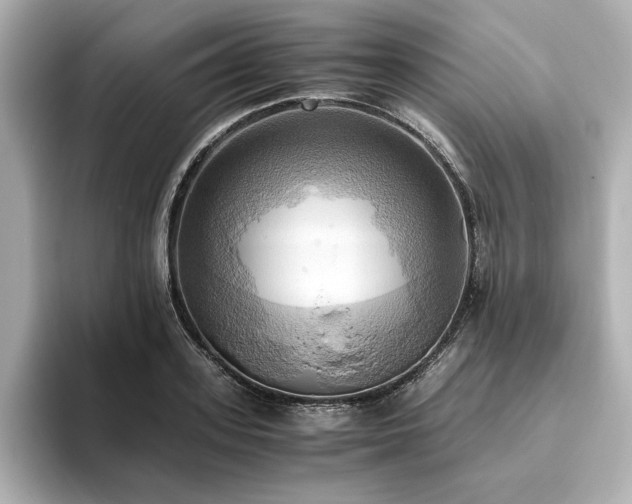 X0000093610939200710151236