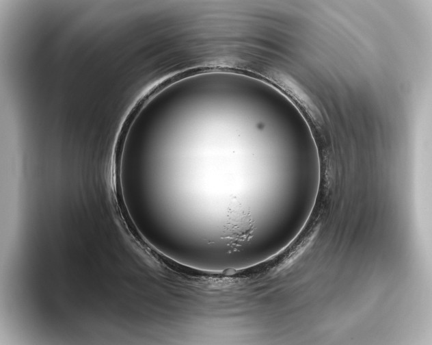 X0000093610940200710151236