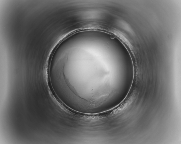 X0000093610941200710151236