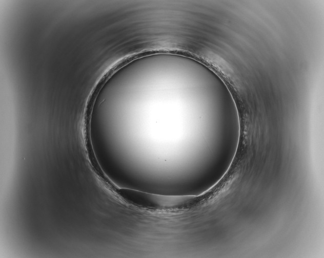 X0000093610942200710151236
