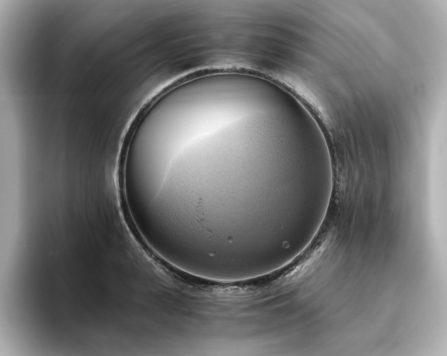 X0000093610943200710151236