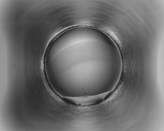 X0000093610944200710151236