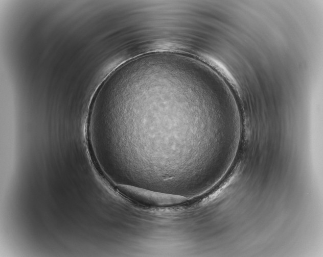 X0000093610946200710151236