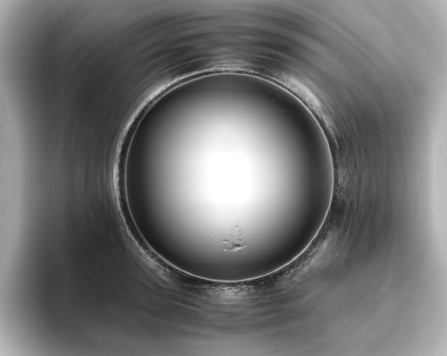 X0000093610947200710151236