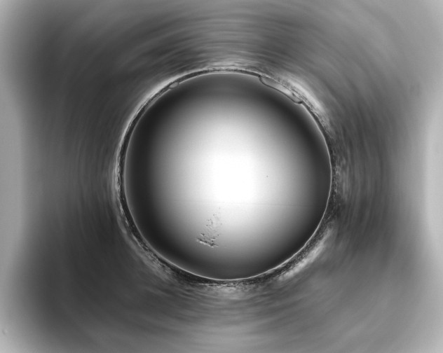 X0000093610948200710151236