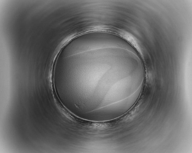 X0000093610954200710151237