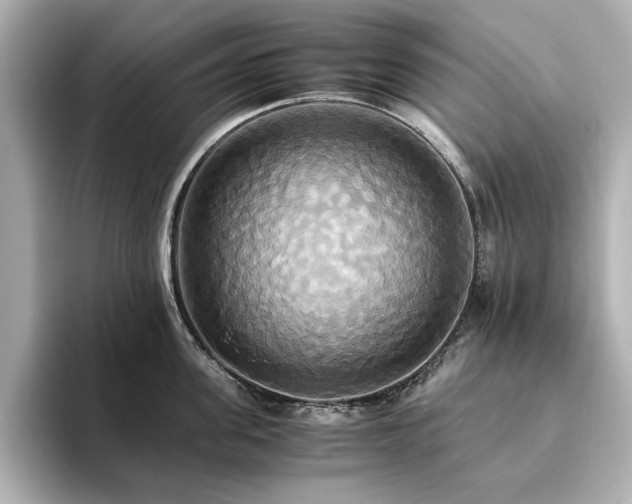 X0000093610955200710151237