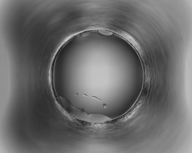X0000093610958200710151237