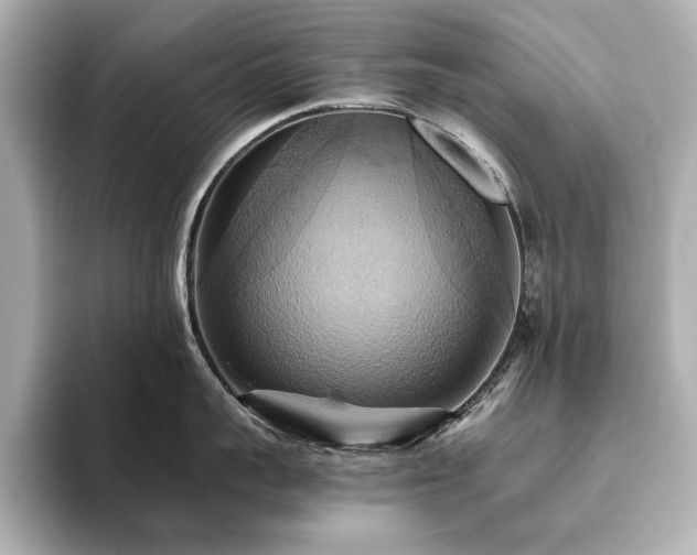 X0000093610959200710151237