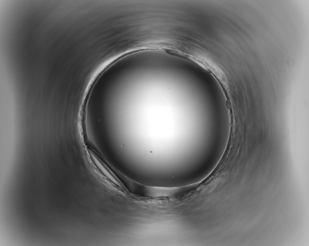 X0000093610960200710151237
