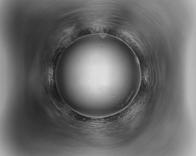 X0000093610964200710151236