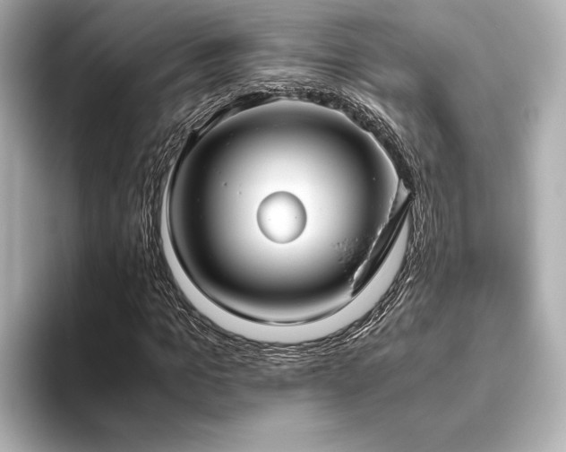 X0000093610965200710151236