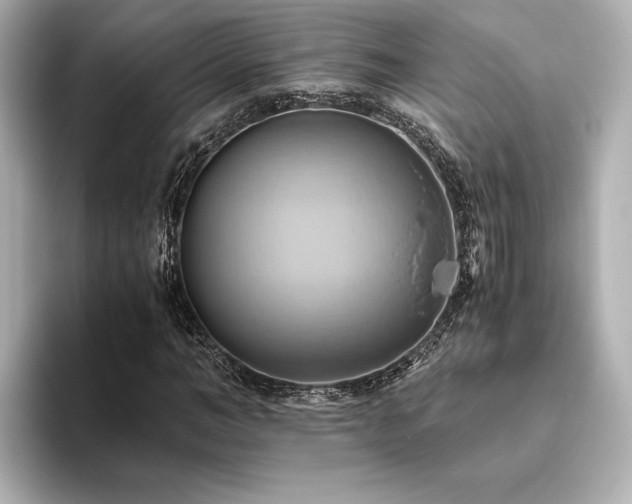 X0000093610966200710151236