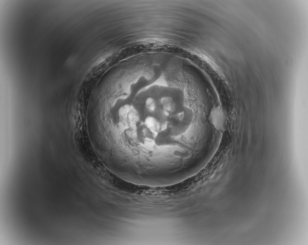 X0000093610967200710151236