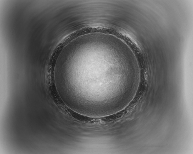 X0000093610968200710151236