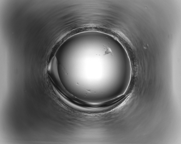 X0000093610969200710151236