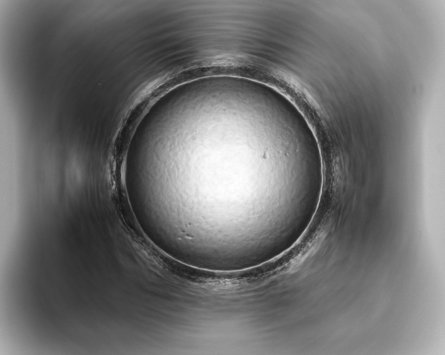 X0000093610970200710151236
