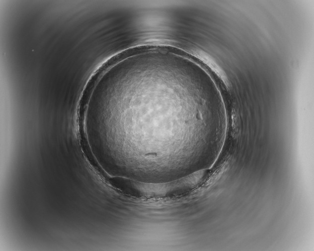 X0000093610972200710151236