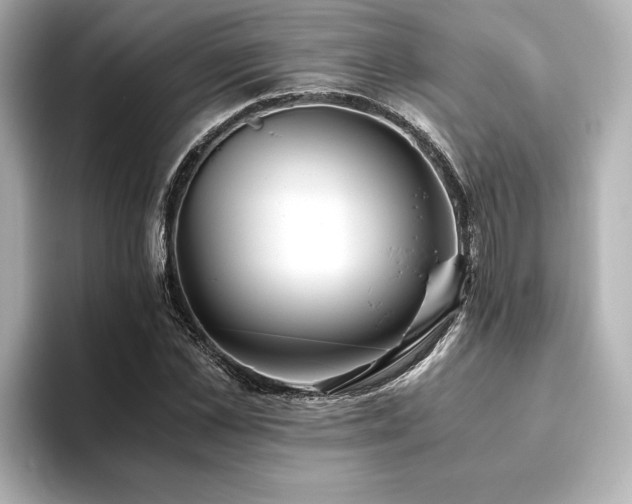 X0000093610973200710151236