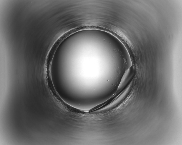 X0000093610976200710151236