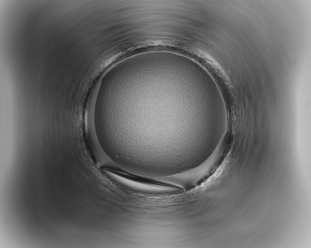 X0000093610977200710151236