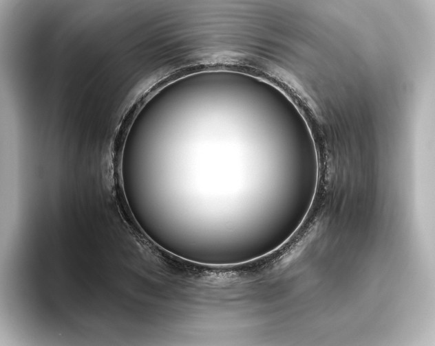 X0000093610978200710151236