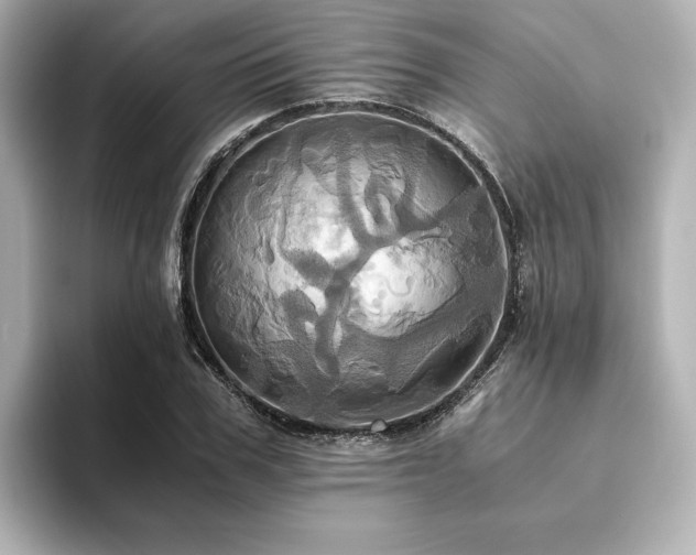 X0000093610979200710151236