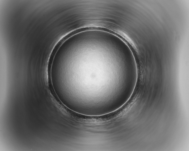 X0000093610980200710151236