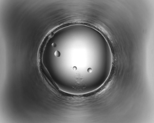 X0000093610981200710151236