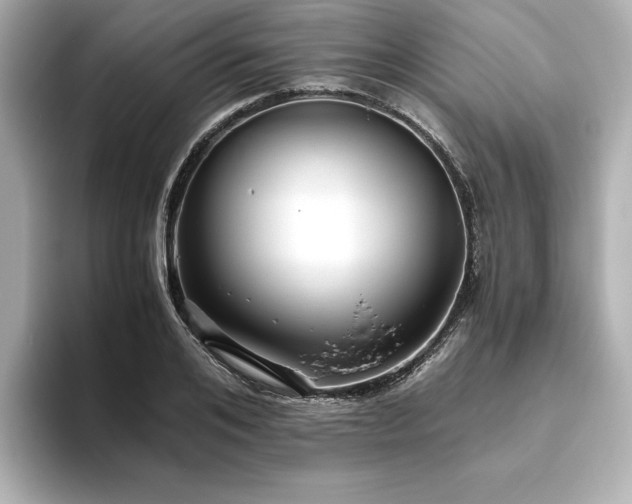 X0000093610984200710151236