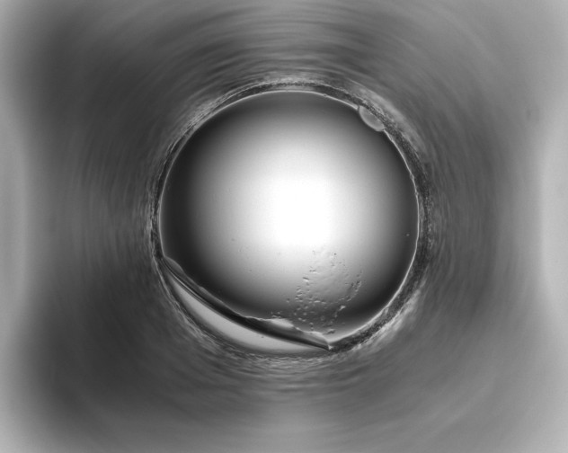 X0000093610985200710151236