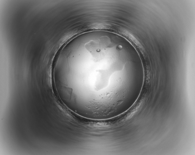 X0000093610986200710151236