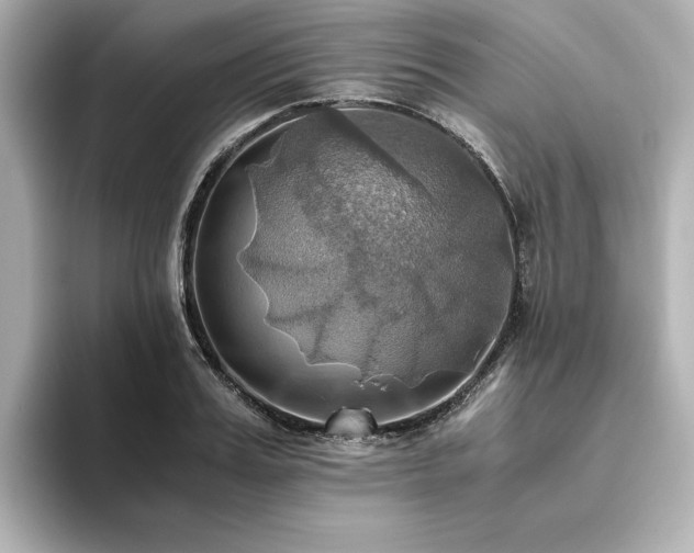 X0000093610987200710151236