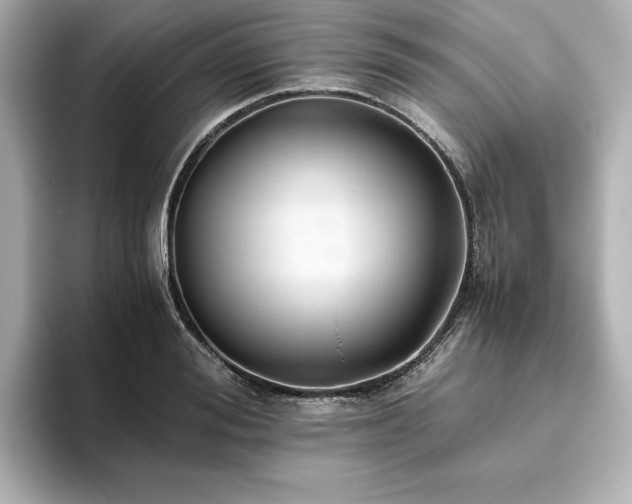 X0000093610988200710151236