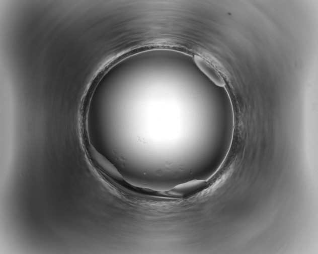 X0000093610989200710151236