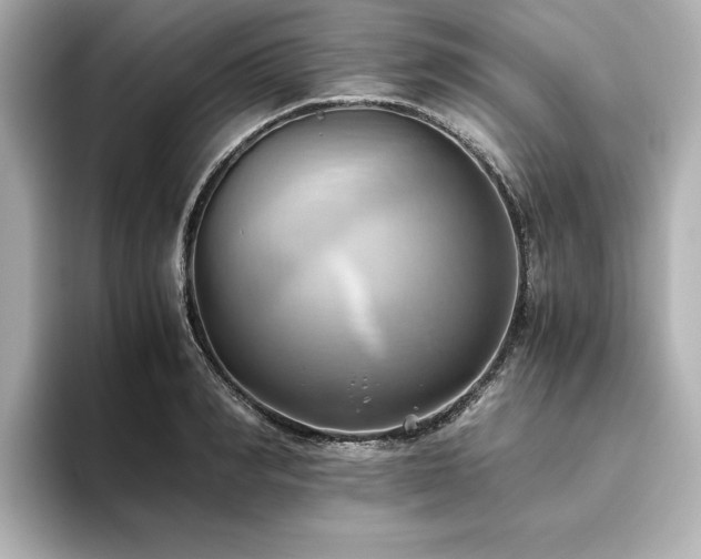 X0000093610990200710151236